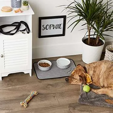 Bone Dry Ultra Absorbent Pet Mat - Chic & Functional