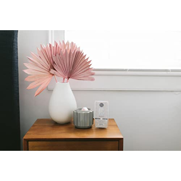 Bridgewater Sweet Grace Wax Melts Highly Scented 73g