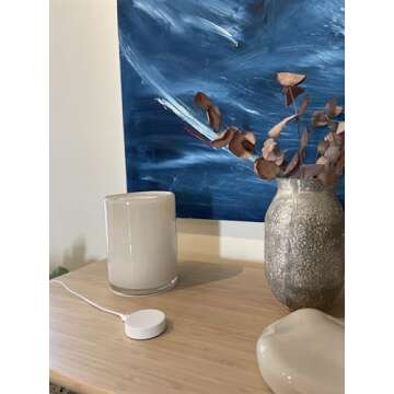 Hub Mini Smart Home Hub | Controls Matter Devices Easily