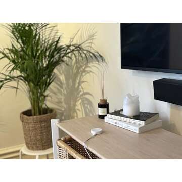 Hub Mini Smart Home Hub for Flic Controllers and More