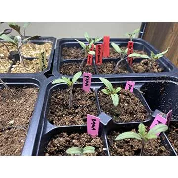 Durable Plastic Garden Labels for Plant Organization