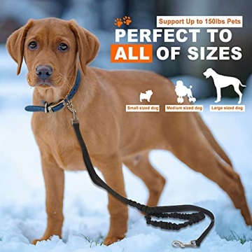 BYXAS Hands Free Dog Leash for Active Dog Lovers