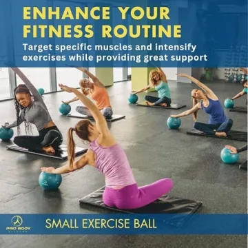 ProBody Pilates Ball - 9 Inch Stability & Core Exercise Ball