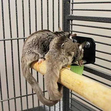 Nectar Pods (Yogurt) - Calcium-Fortified Jelly Fruit Treat - Sugar Gliders, Marmosets, Squirrels, Parrots, Cockatiels, Parakeets, Lovebirds, Conures, Hamsters, Day Geckos, Kinkajous & Other Small Pets