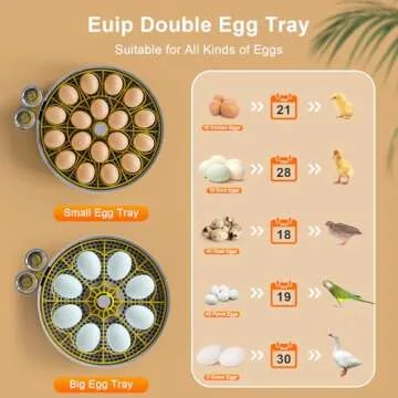 IBKINXX Incubator for Hatching Eggs-18 Egg Capacity, Automatic Egg Turner, Temperature & Humidity Control, 360° Viewing for Chicken, Duck and Quail Eggs