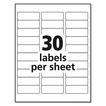 Avery 18660 Clear Mailing Labels - 300 Count for All Occasions