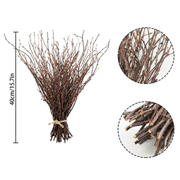 Uieke 50PCS Birch Twigs for DIY Crafts and Home Decor