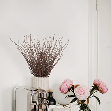 Uieke 50PCS Birch Twigs for DIY Crafts and Home Decor