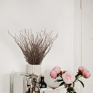 Uieke 50PCS Birch Twigs for DIY Crafts and Home Decor