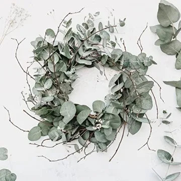 Uieke 50PCS Birch Twigs for DIY Crafts and Home Decor