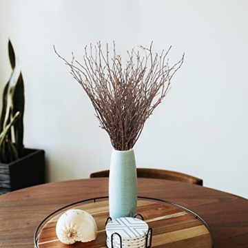 Uieke 50PCS Birch Twigs for DIY Crafts and Home Decor