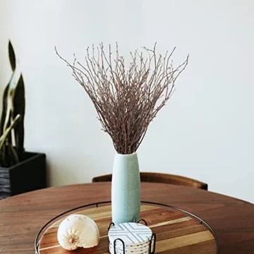 Uieke 50PCS Birch Twigs for DIY Crafts and Home Decor