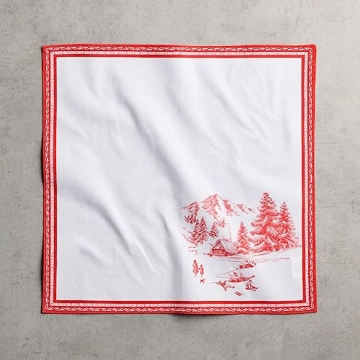 Maison d'Hermine Cotton 20x20 Napkin Set - Vibrant & Washable