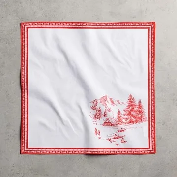 Maison d'Hermine Cotton 20x20 Napkin Set - Vibrant & Washable