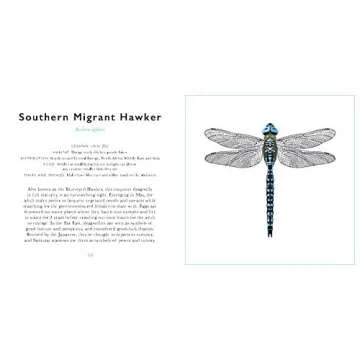 The Little Guide to Bugs: Your Fun Insect Companion