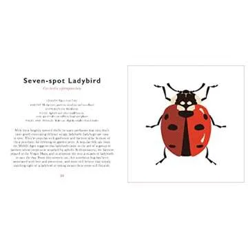 The Little Guide to Bugs: Your Fun Insect Companion