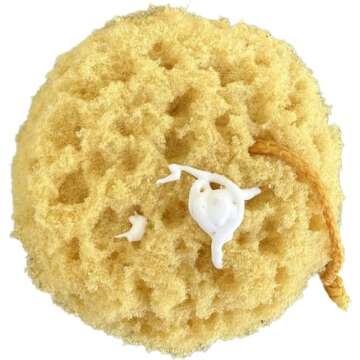 Exfoliating Foam Sea Sponge Set - Luxurious Lather