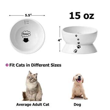 Y YHY Elevated Cat Food Bowl, Raised Pet Food and Water Bowl for Cat and Small Dog, Tilted Ceramic Water Bowl No Spill,15oz, Dishwasher Safe