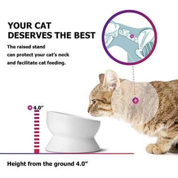 Y YHY Elevated Cat Food Bowl, Raised Pet Food and Water Bowl for Cat and Small Dog, Tilted Ceramic Water Bowl No Spill,15oz, Dishwasher Safe