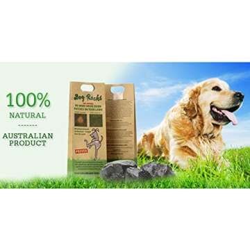 Dog Rocks Dog Pee Grass Neutralizer | Natural Lawn Saver 600g | 6 Month Supply