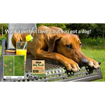 Dog Rocks Natural Urine Neutralizer for Lush Lawns 600g