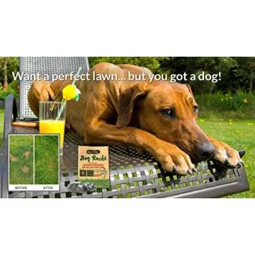 Dog Rocks Natural Urine Neutralizer for Lush Lawns 600g