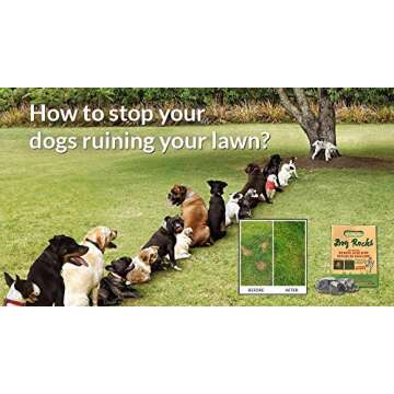 Dog Rocks Natural Urine Neutralizer for Lush Lawns 600g