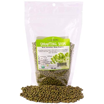 Mung Bean Sprouting Seed: 1 Lb Organic Non-GMO - Handy Pantry for Gardening & Cooking