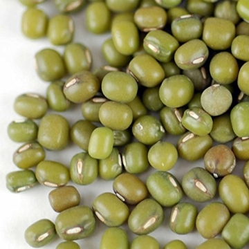 Mung Bean Sprouting Seeds - Organic, Non-GMO, Handy Pantry