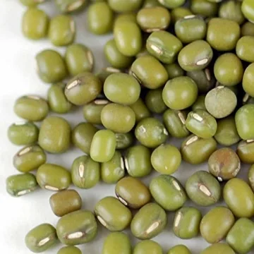 Mung Bean Sprouting Seeds - Organic, Non-GMO, Handy Pantry