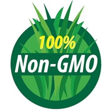 Mung Bean Sprouting Seeds - Organic, Non-GMO, Handy Pantry