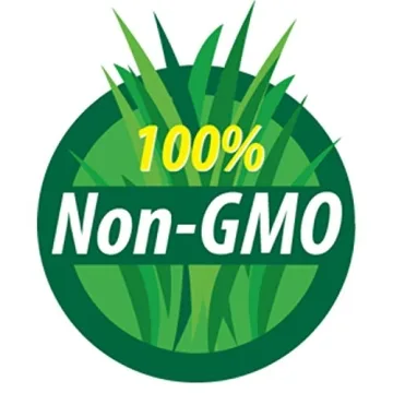 Mung Bean Sprouting Seeds - Organic, Non-GMO, Handy Pantry