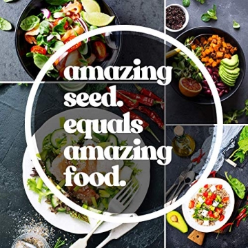 Mung Bean Sprouting Seeds - Organic, Non-GMO, Handy Pantry