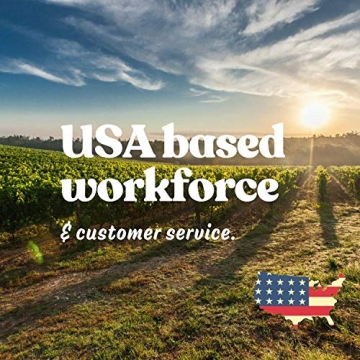 Mung Bean Sprouting Seeds - Organic, Non-GMO, Handy Pantry