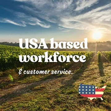 Mung Bean Sprouting Seeds - Organic, Non-GMO, Handy Pantry