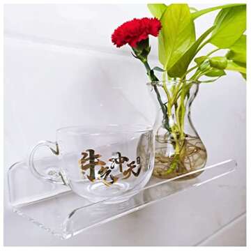 WANLIAN 8 Inch Acrylic Clear Shelves for Wall No Drilling, 2 Pack Small Adhesive Floating Shelf with Ledge, No Damage Mounted, Easily Expand Wall Space for Bedroom, Living Room, Bathroom