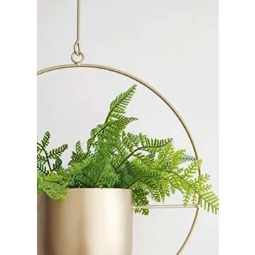 Stylish RISEON Gold Metal Hanging Planter for All Spaces
