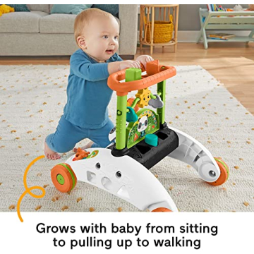 Fisher-Price 2-Sided Panda Walker for Early Learning Fun