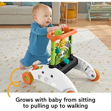 Fisher-Price 2-Sided Panda Walker for Early Learning Fun