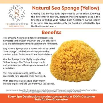 Natural Sea Sponge for Eco-Friendly Bathing Experience