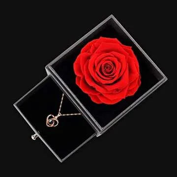 Mothers Day Mom Gifts for Mom from Daughter Son, Preserved Rose with I Love You Necklace, Eternal Flowers Rose Gifts for Mom Wife Girlfriend on Mothers Day Anniversary Birthday Gifts for Women (Red)