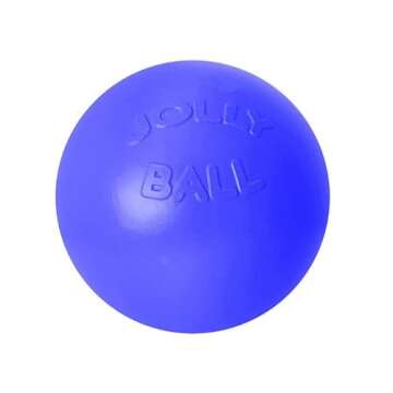 Jolly Pets Push-n-Play Ball Dog Toy, 10 Inches/Large, Blue