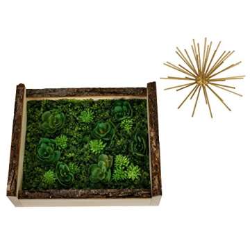 Walnut Hollow 41202 Natural Bark Edge Shadow Box for Arts, Crafts & Home Decor, Large
