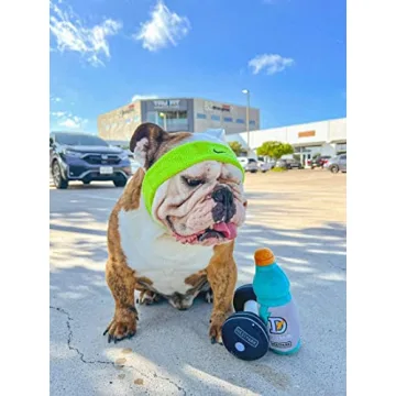 Nestpark Fitness Funny Dog Toys for All Dogs