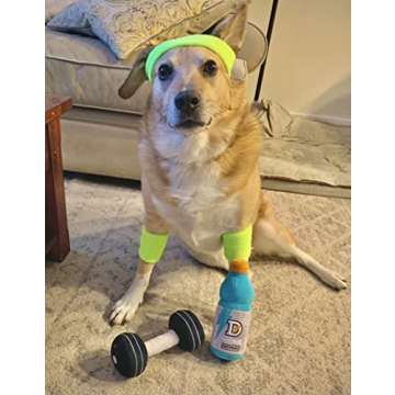 Nestpark Fitness Funny Dog Toys for All Dogs