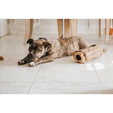 ZippyPaws Burrow, Woodland Friends Chipmunks 'n Log - Interactive Dog Toys for Boredom - Hide and Seek Dog Toys, Colorful Squeaky Dog Toys for Small & Medium Dogs, Plush Dog Puzzles