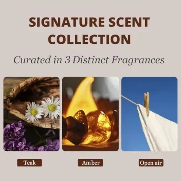 Car Air Freshener Starter Kit - Premium Stone - 3 Scents