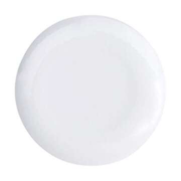 Amazon Basics Melamine Dinnerware Set, Service for 4, Blue Hydrangea Floral - Set of 12