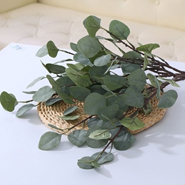 ZHIIHA Eucalyptus Stems Set of 6 for Home Decor