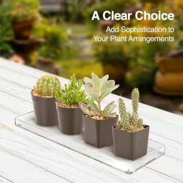 Classic Acrylic Tray - Elegant Organizer for Home & Office